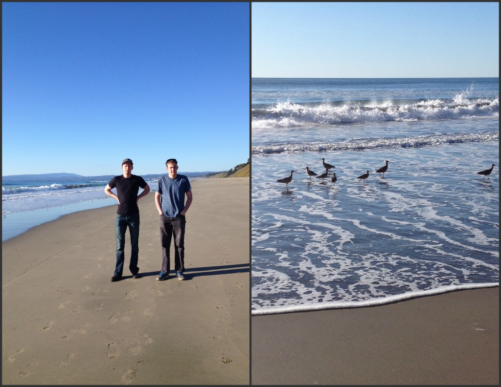 Sunset Beach State Park California @handbookofnaturestudy