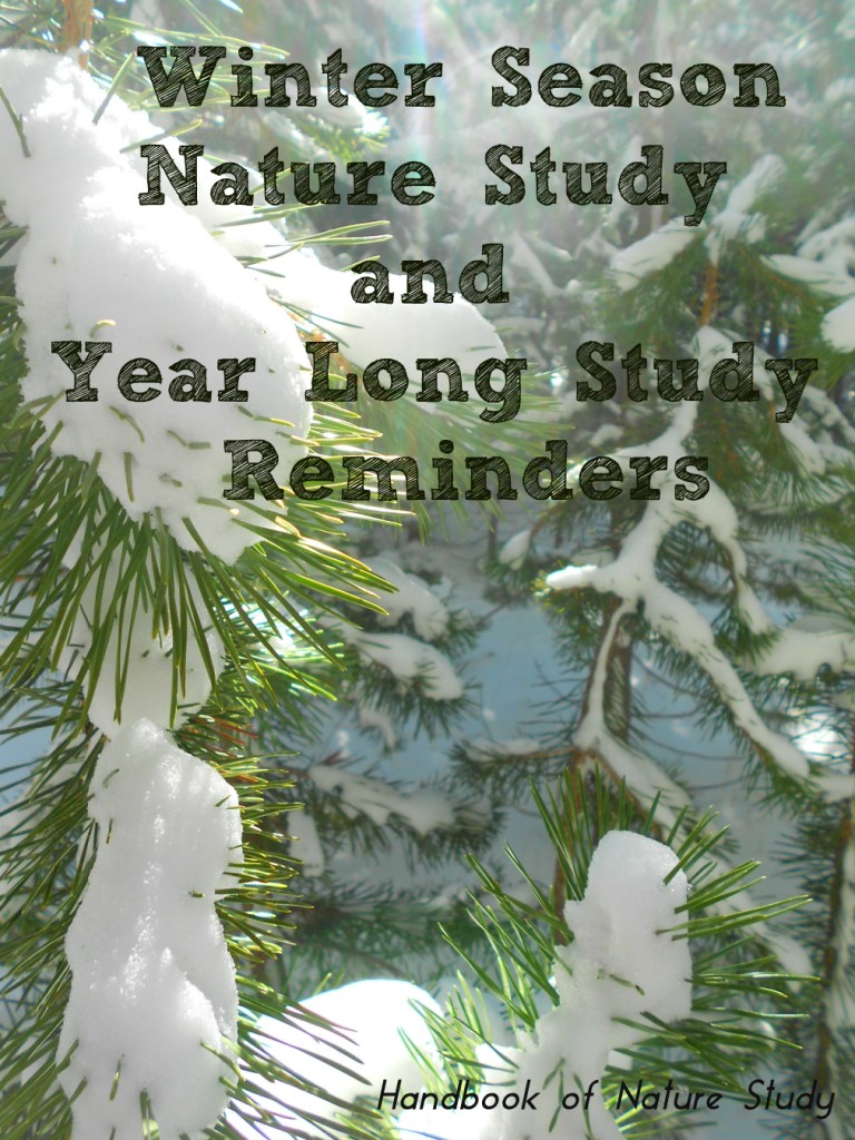 Winter Season Nature Study @handbookofnaturestudy