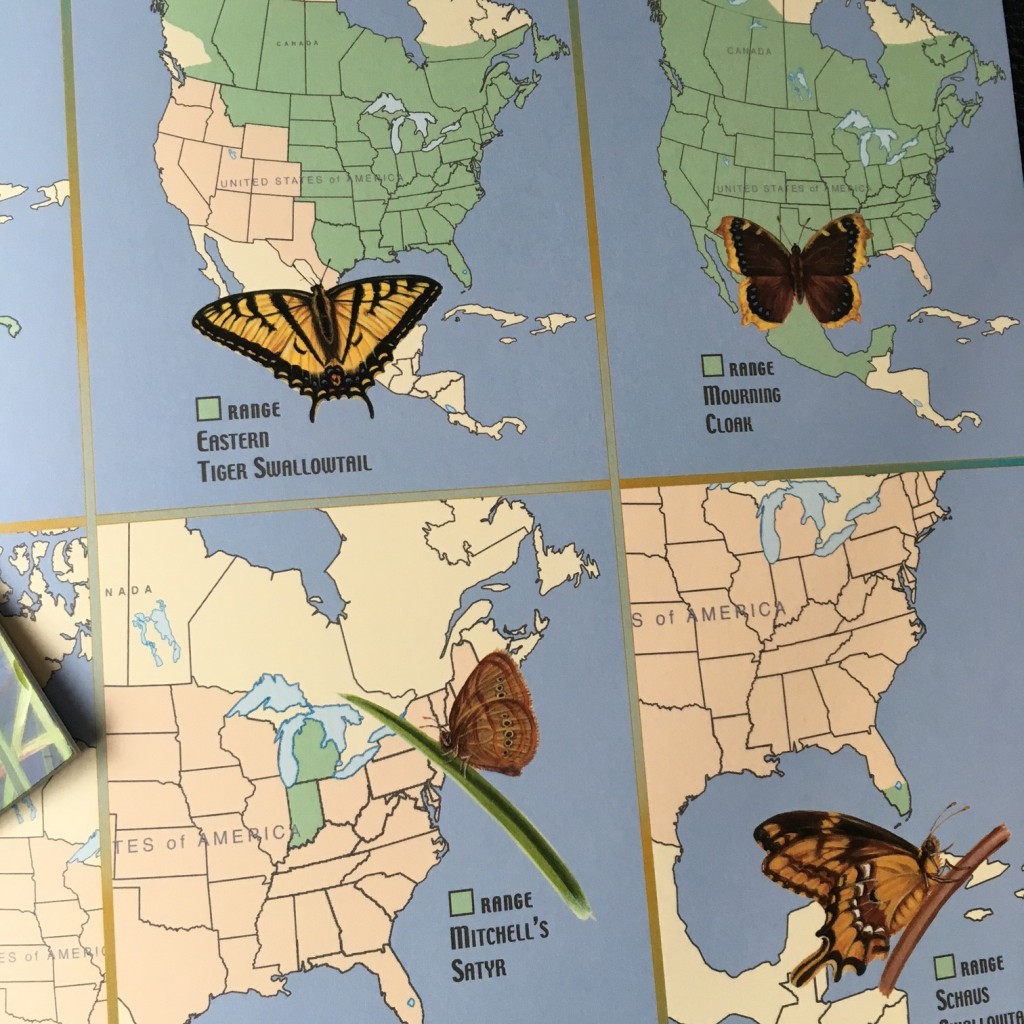 A Place for Butterflies @handbookofnaturestudy