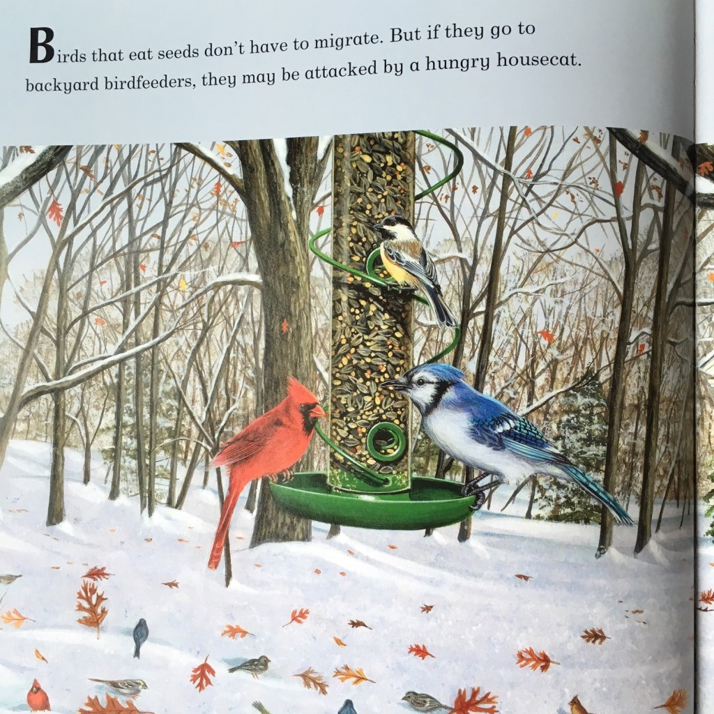 A Place For Birds @handbookofnaturestudy