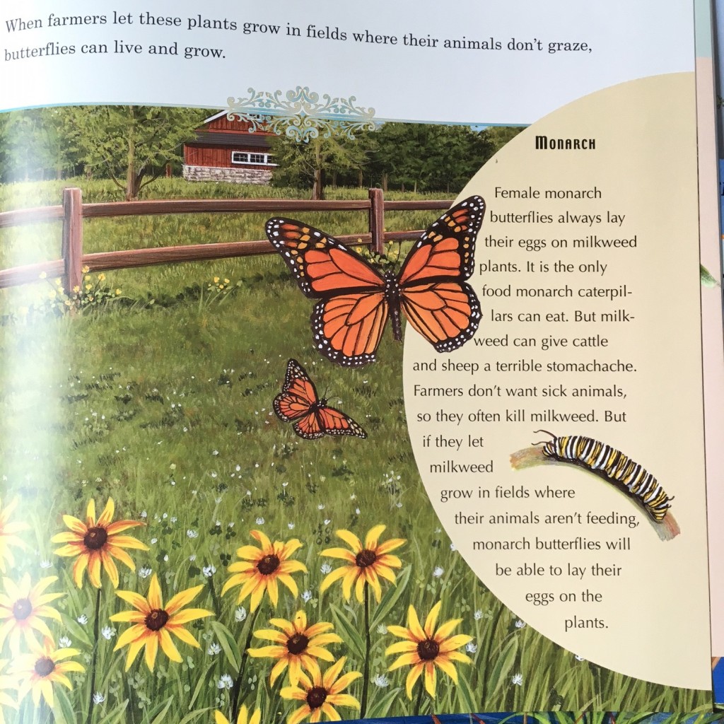 A Place for Butterflies @handbookofnaturestudy