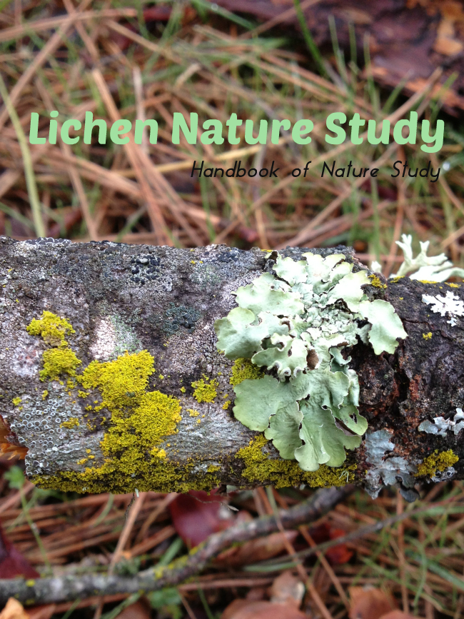 Lichen Nature Study @handbookofnaturestudy