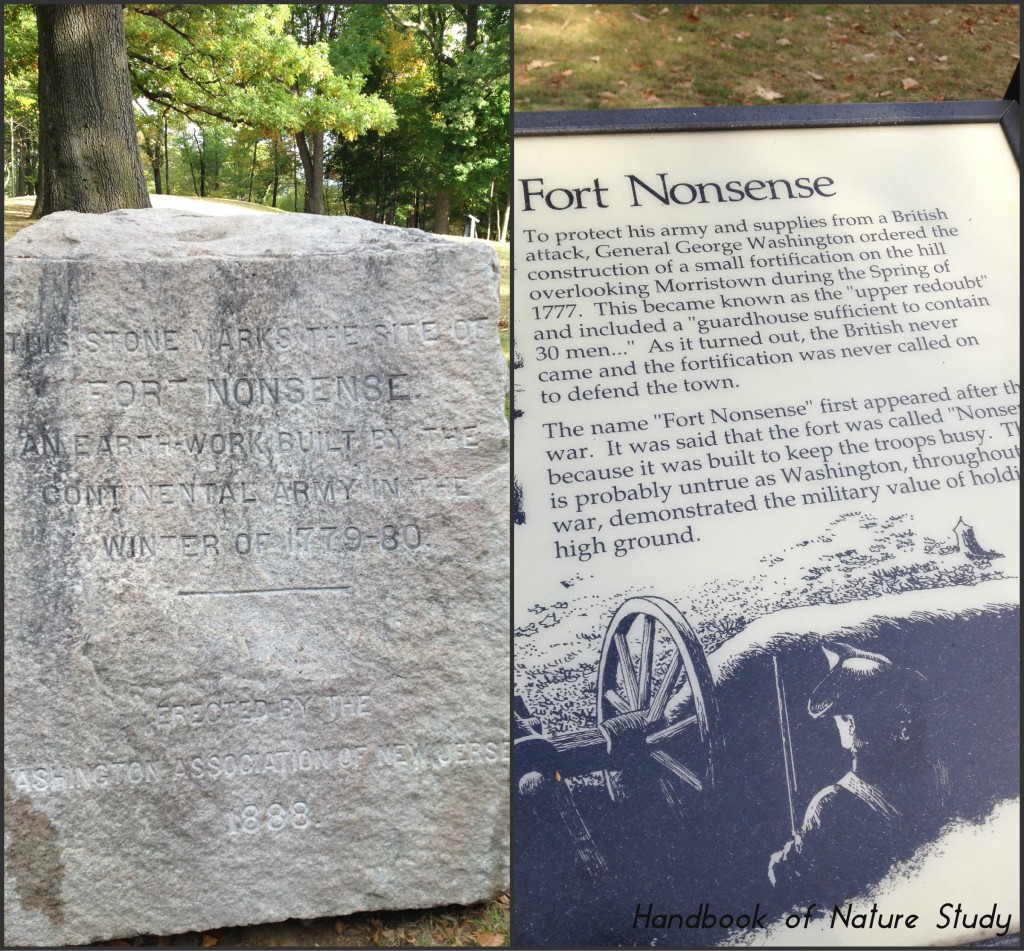 Morristown Fort Nonsense @handbookofnaturestudy