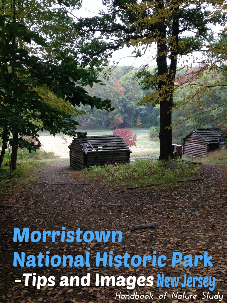Morristown National Historic Park @handbookofnaturestudy