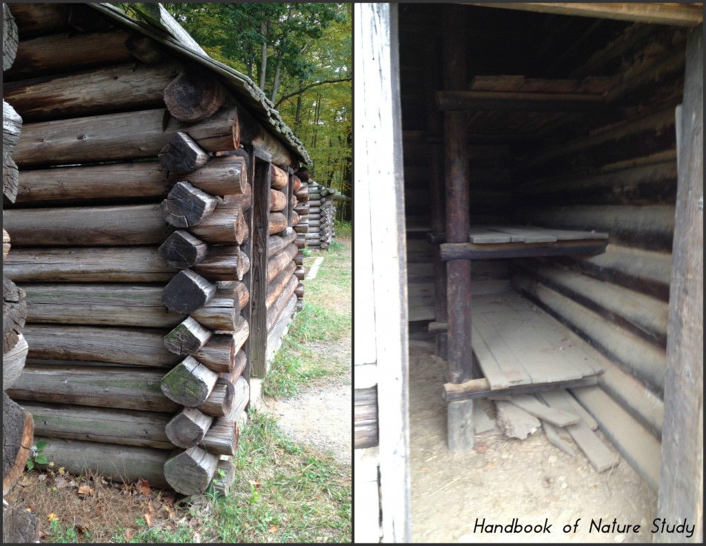 Morristown National Historic Park encampment @handbookofnaturestudy