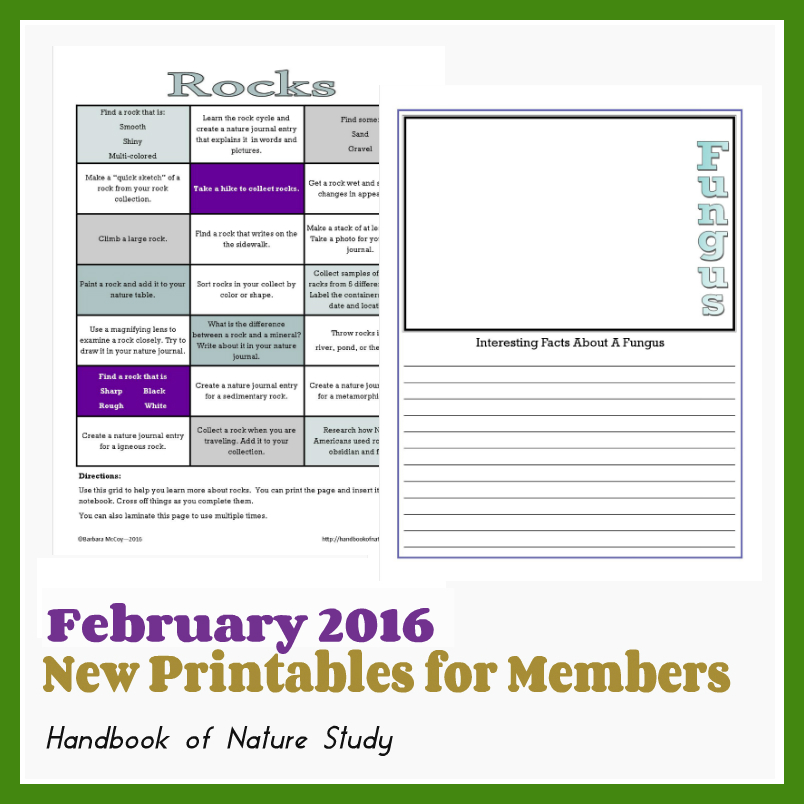 Outdoor Hour Challenge February 2016 Printables for Members @handbookofnaturestudy