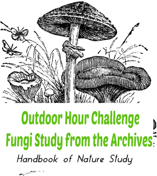 Outdoor Hour Challenge Fungi Study from the Archives @handbookofnatuerstudy