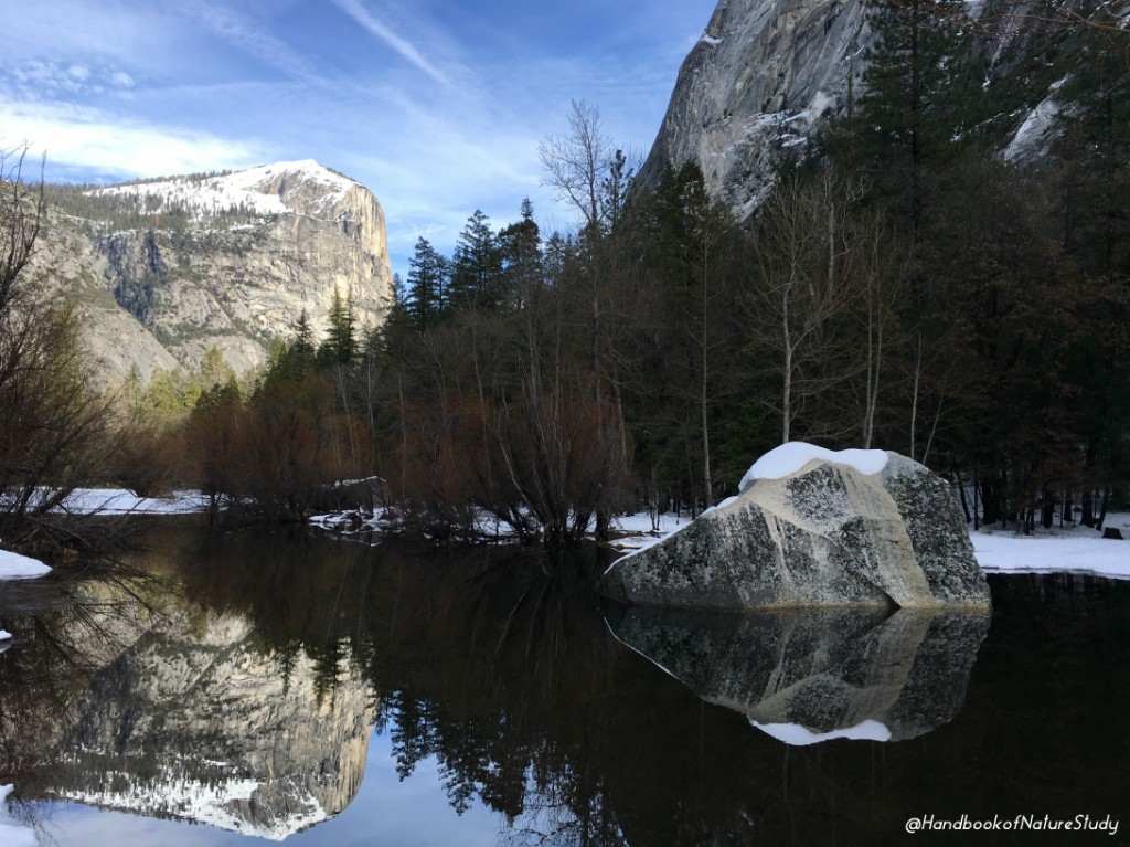 Yosemite Jan 2016 Mirror Lake @handbookofnaturestudy
