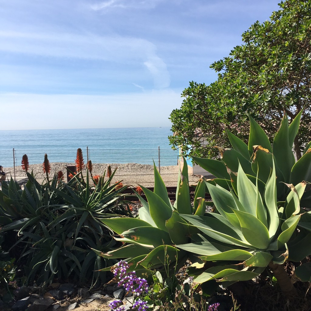 San Clemente Beach Trail Feb 2016