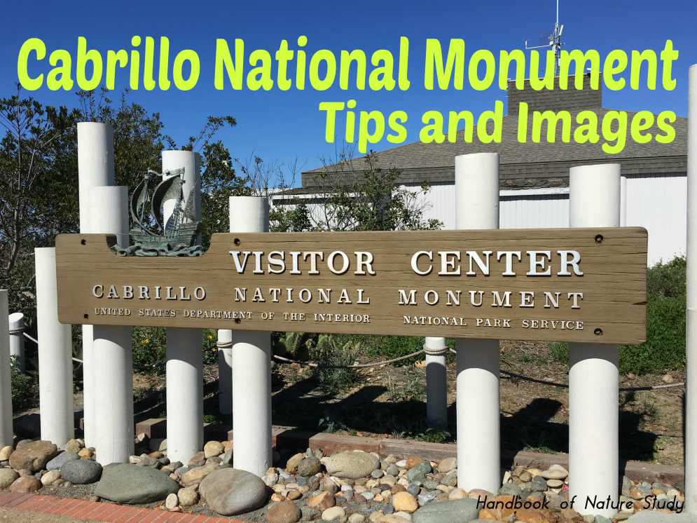 Cabrillo National Monument Tips and Images @handbookofnaturestudy