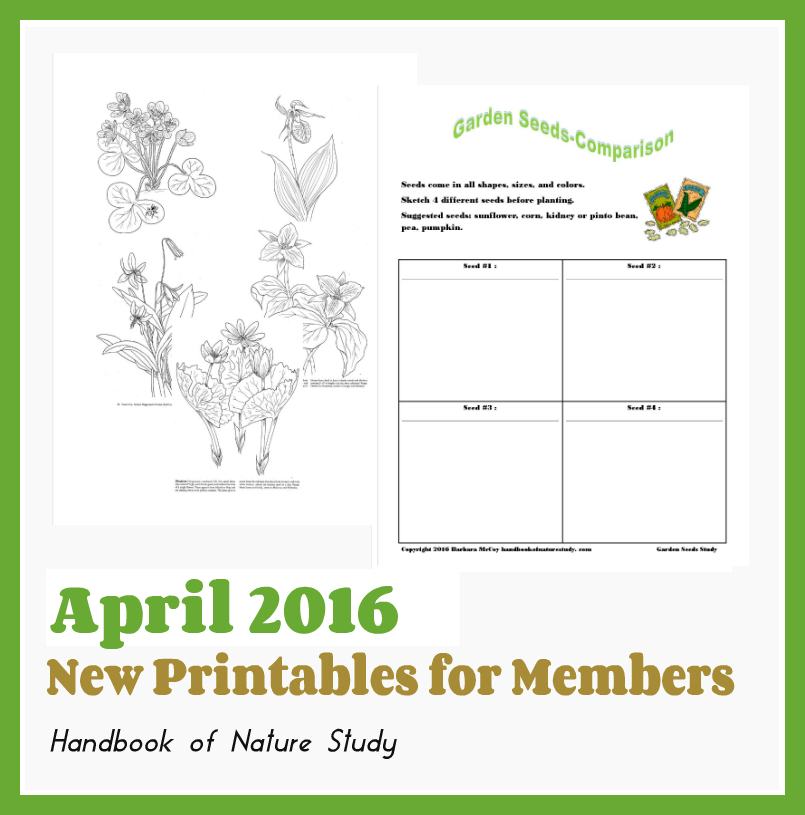 Outdoor Hour Challenge April 2016 Monthly Printables for Members @handbookofnaturestudy