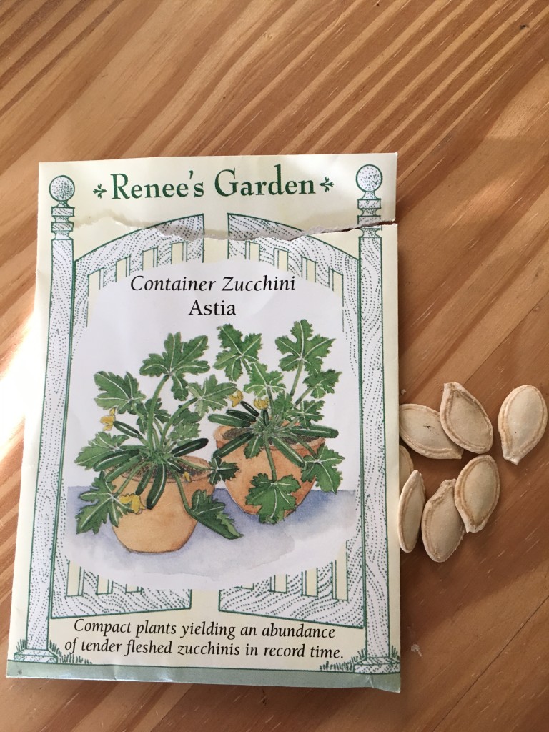 Renee Garden Seeds and Plants March 2016 (6)