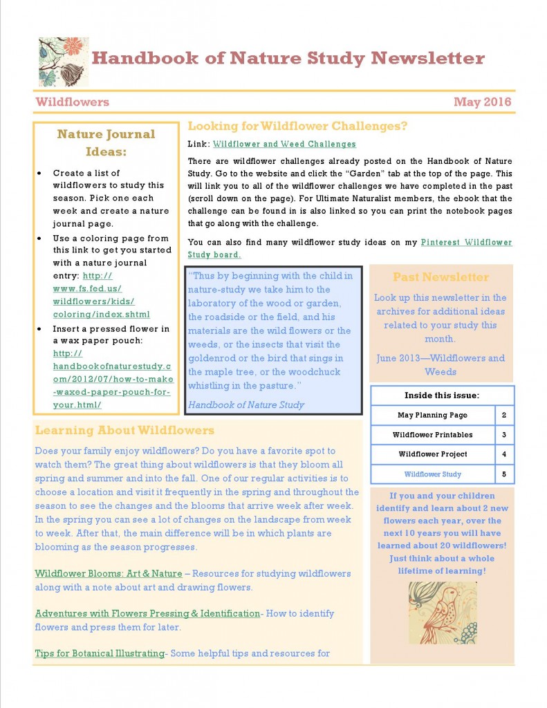 tudy Newsletter May 2016 Wildflowers Cover