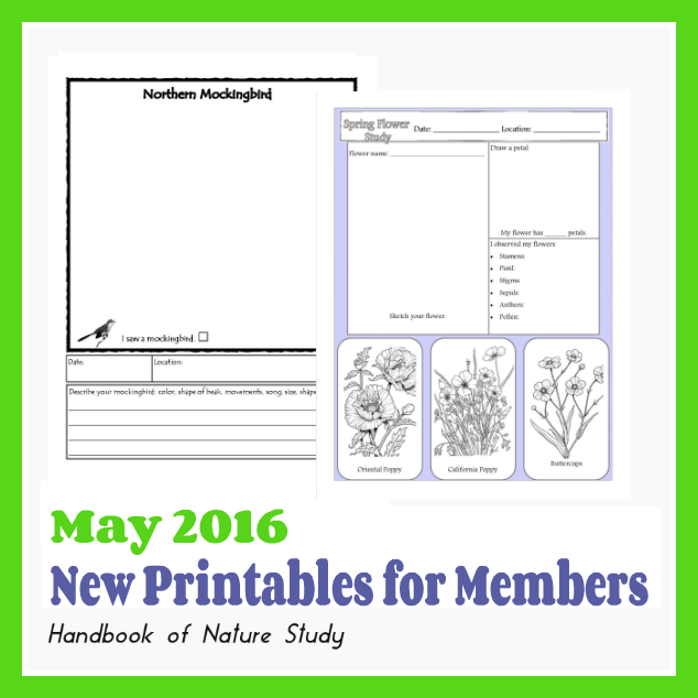 Outdoor Hour Challenge May 2016 Monthly Printables for Members @handbookofnaturestudy