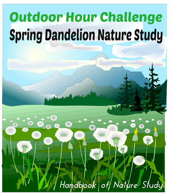Outdoor Hour Challenge Spring Dandelion Study @handbookofnaturestudy