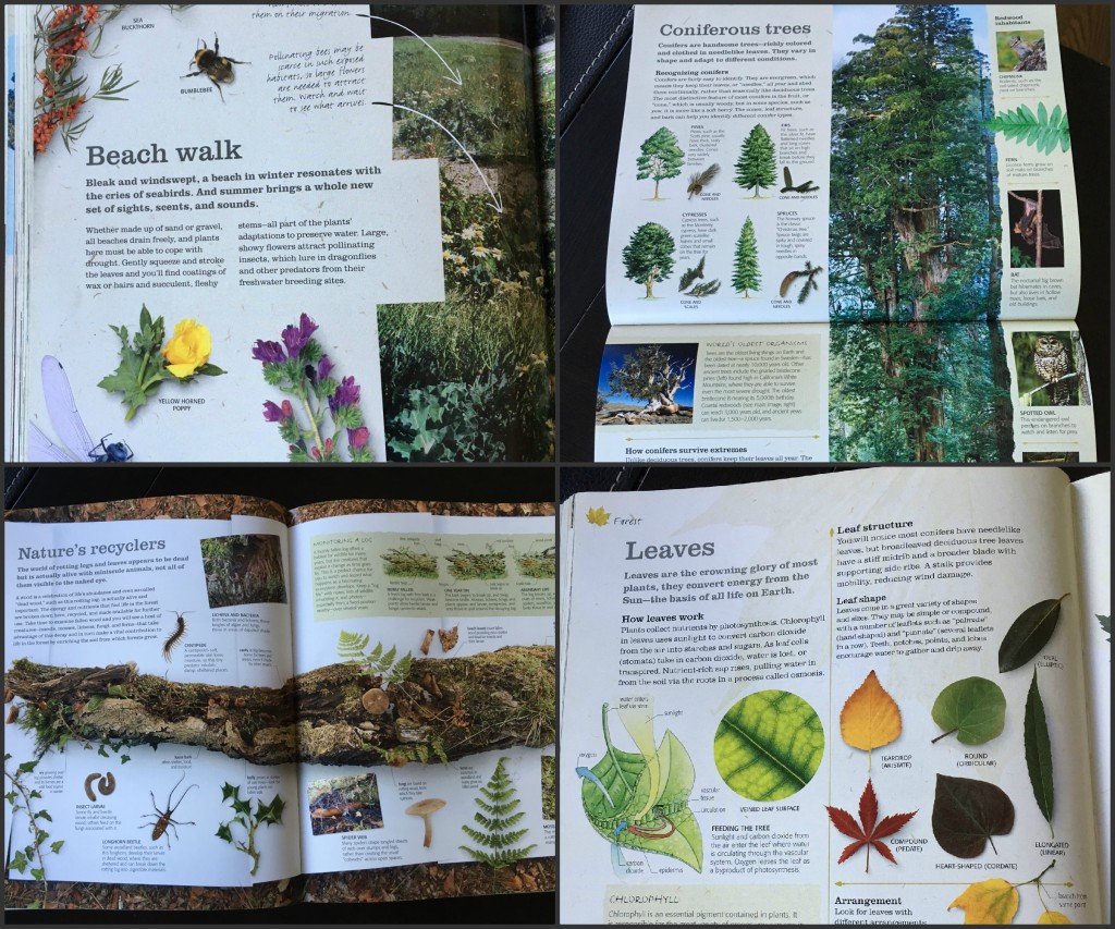 Practical Naturalist page samples @handbookofnaturestudy