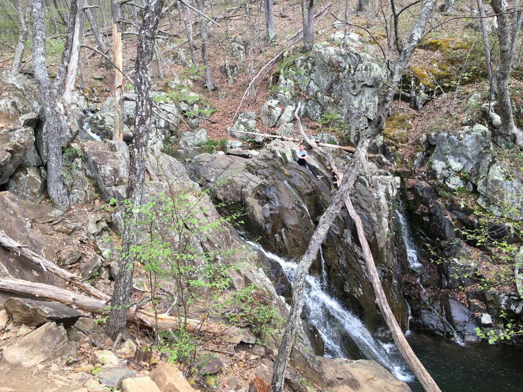 Shenandoah National Park  (101) Dark Hollow Falls Hike