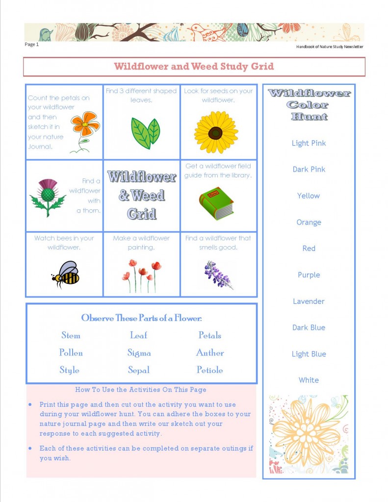 Wildflower and Weed Color Hunt Printable May 2016 Newsletter