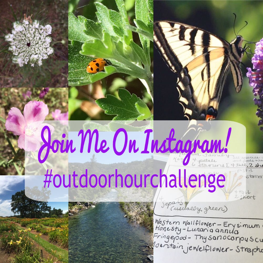 Instagram OutdoorHourChallenge