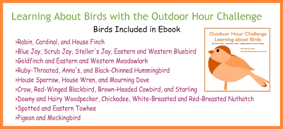Learning About Birds ebook Bird List @handbookofnaturestudy