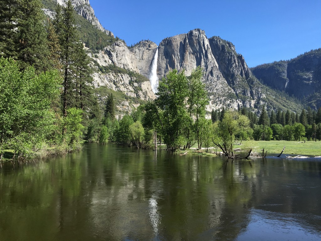 Yosemite May 16 2016 (11)