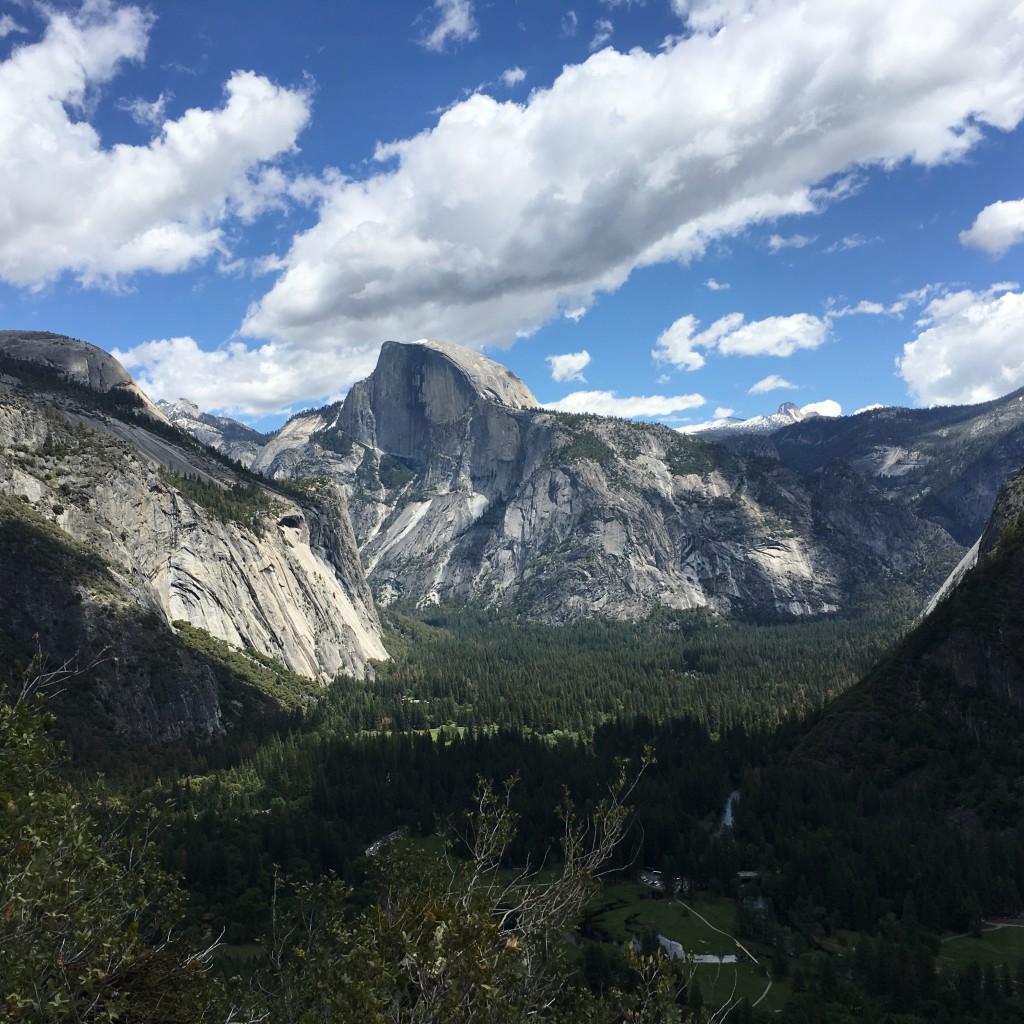 Yosemite Columbia Rock May 16 2016 (38)
