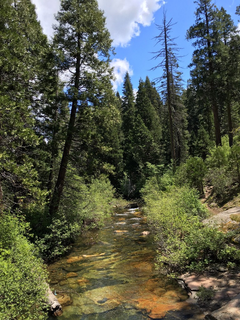 Calaveras Big Trees Creek