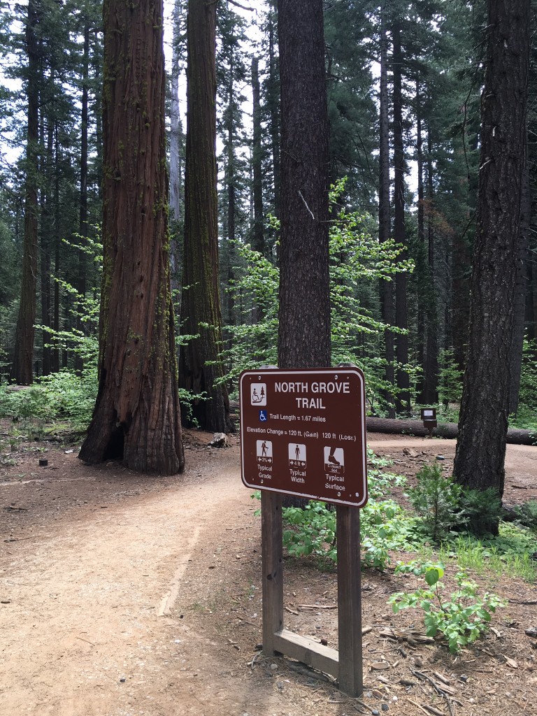 Calaveras Big Trees North Grove