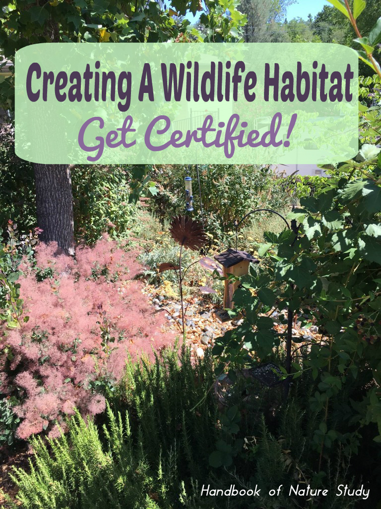 Creating-a-Wildlife-Habitat-Get-Certified-@handbookofnaturestudy