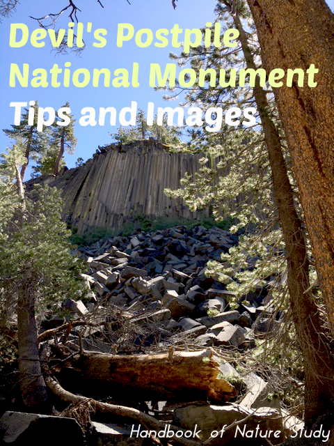 Devils Postpile National Monument Tips and Images @handbookofnaturestudy