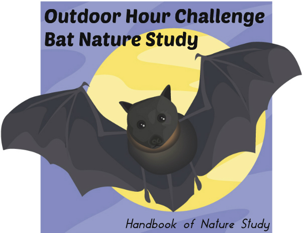 Outdoor Hour Challenge Bat Nature Study