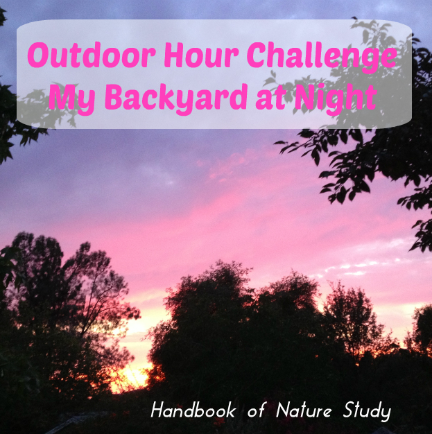 Outdoor Hour Challenge My Backyard at Night @handbookofnaturestudy