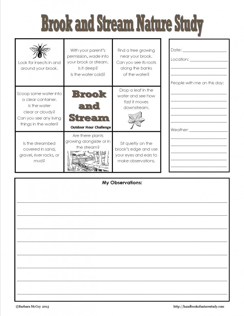 Brook and Stream Mini Grid Study