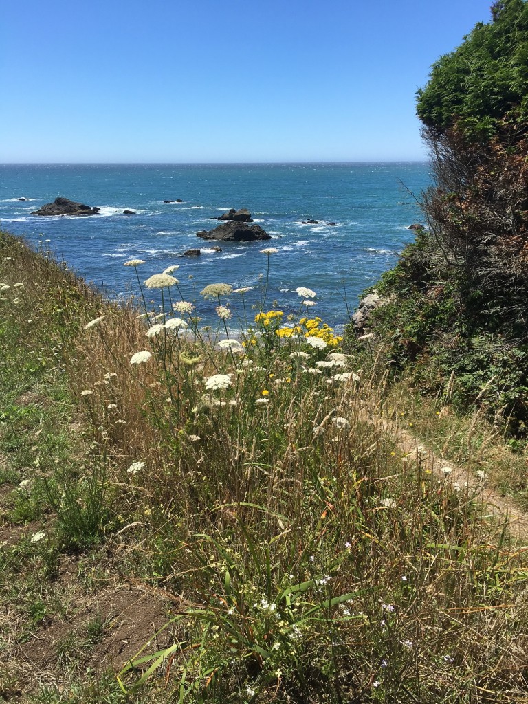 Oregon Coast McVay Rock