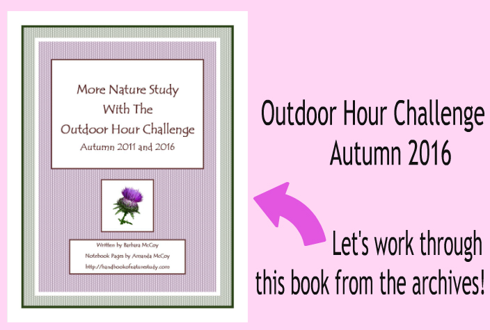 Outdoor Hour Challenge Autumn 2016 More Nature Study Autumn Ebook