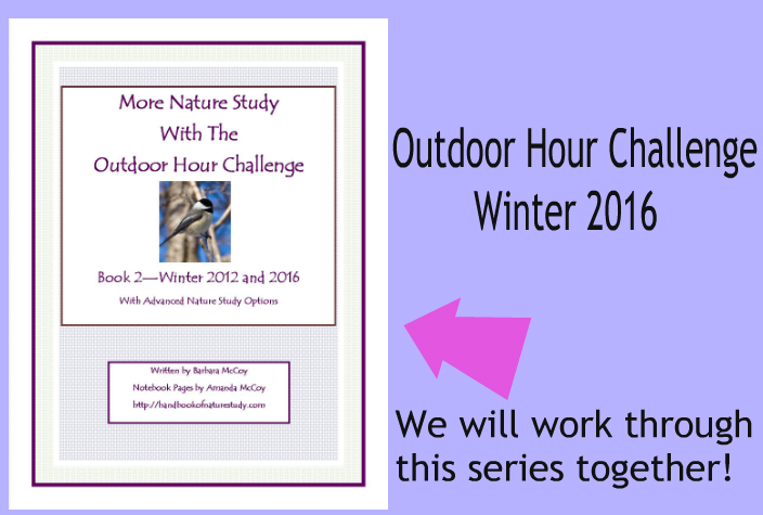 Outdoor Hour Challenge Winter 2016 More Nature Study Winter