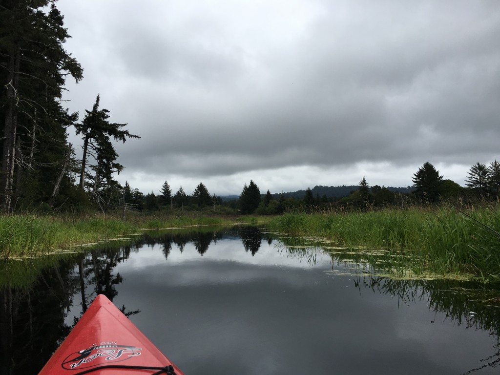 oregon trip 2016 tolowa kayak (6)