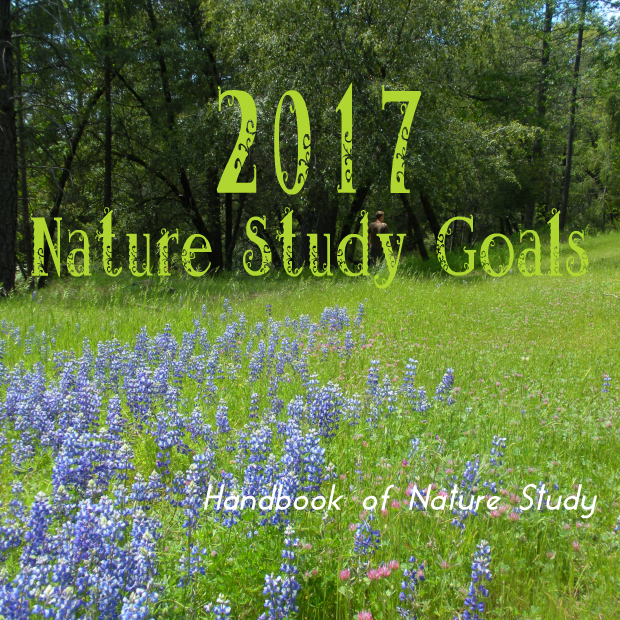 2017 Nature Study Goals @handbookofnaturestudy