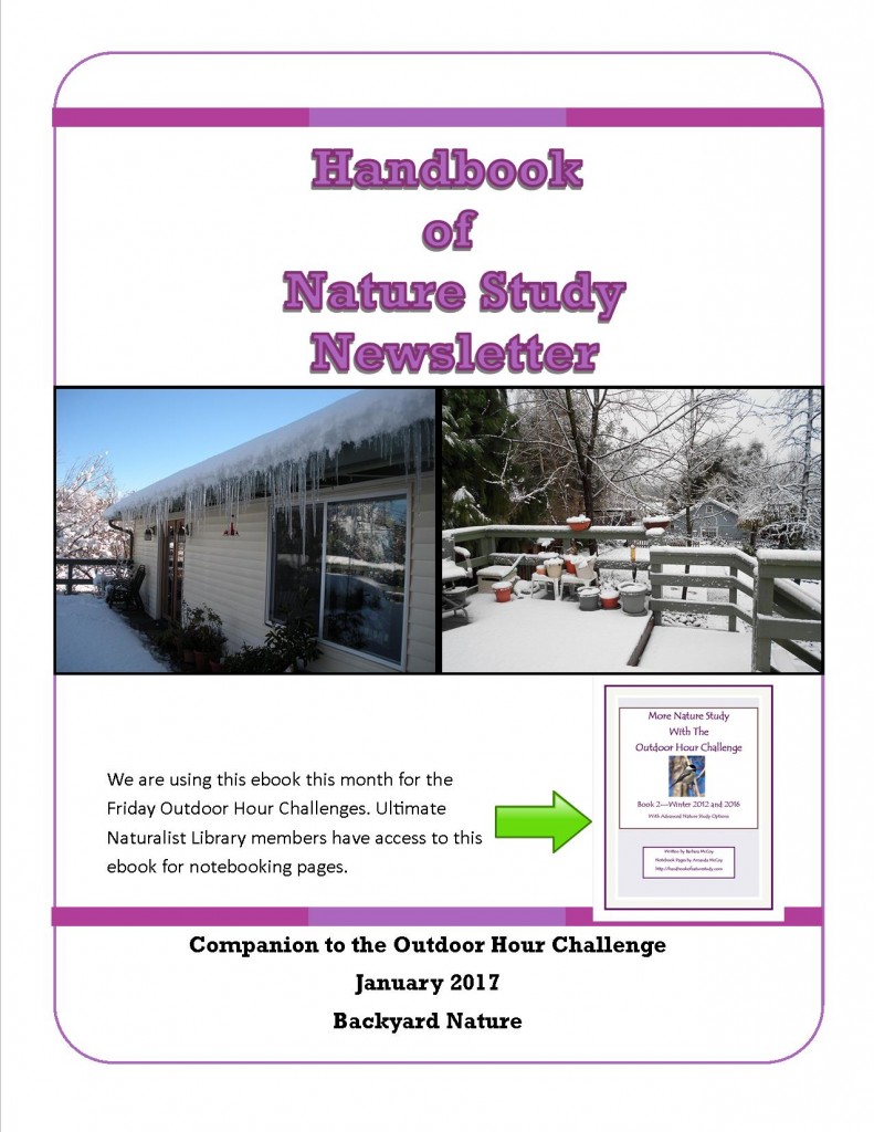HNS Newsletter January 2017 Backyard Nature Cover