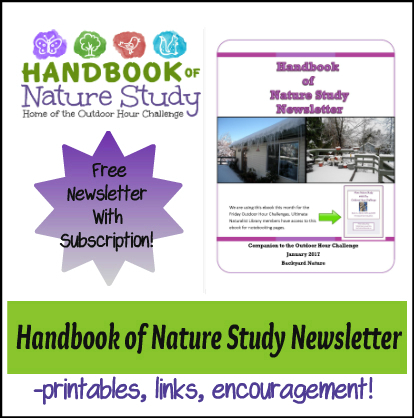 Handbook of Nature Study Newsletter January 2017 cover button