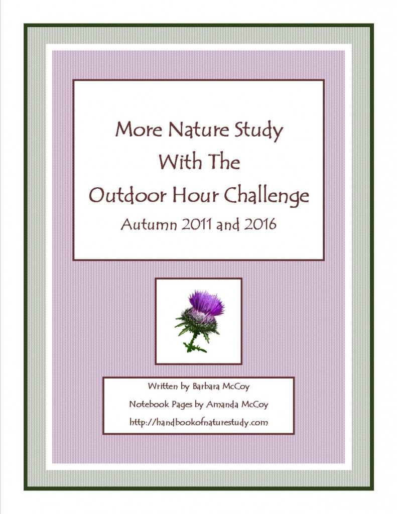 More Nature Study Autumn Cover image