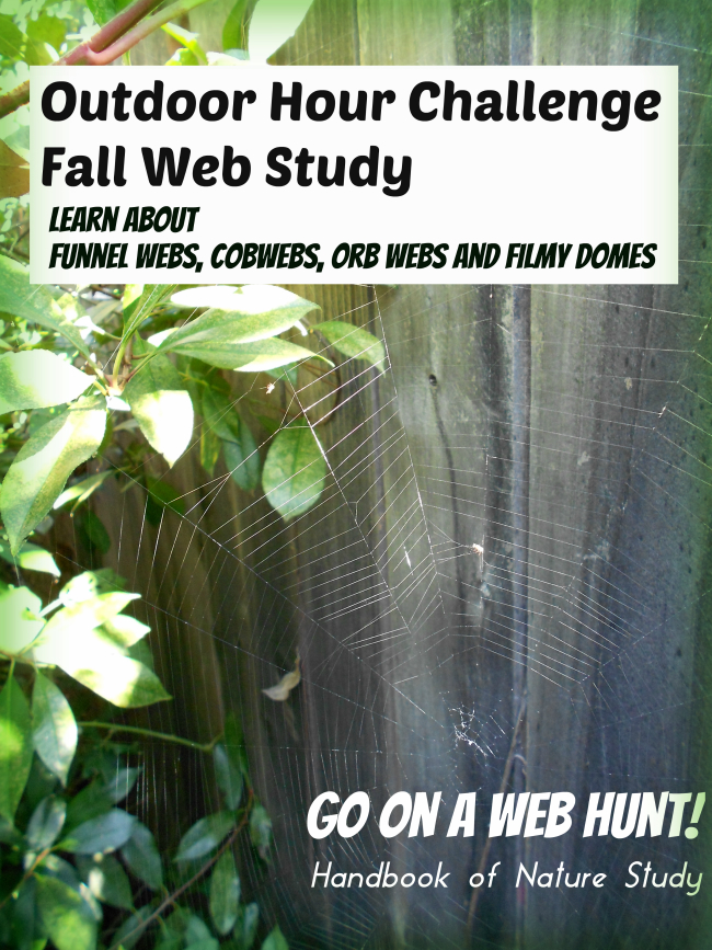 Outdoor Hour Challenge Fall Web Study @handbookofnaturestudy