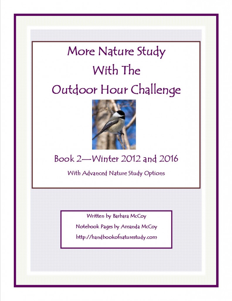 Outdoor Hour Challenge Winter 2016 More Nature Study