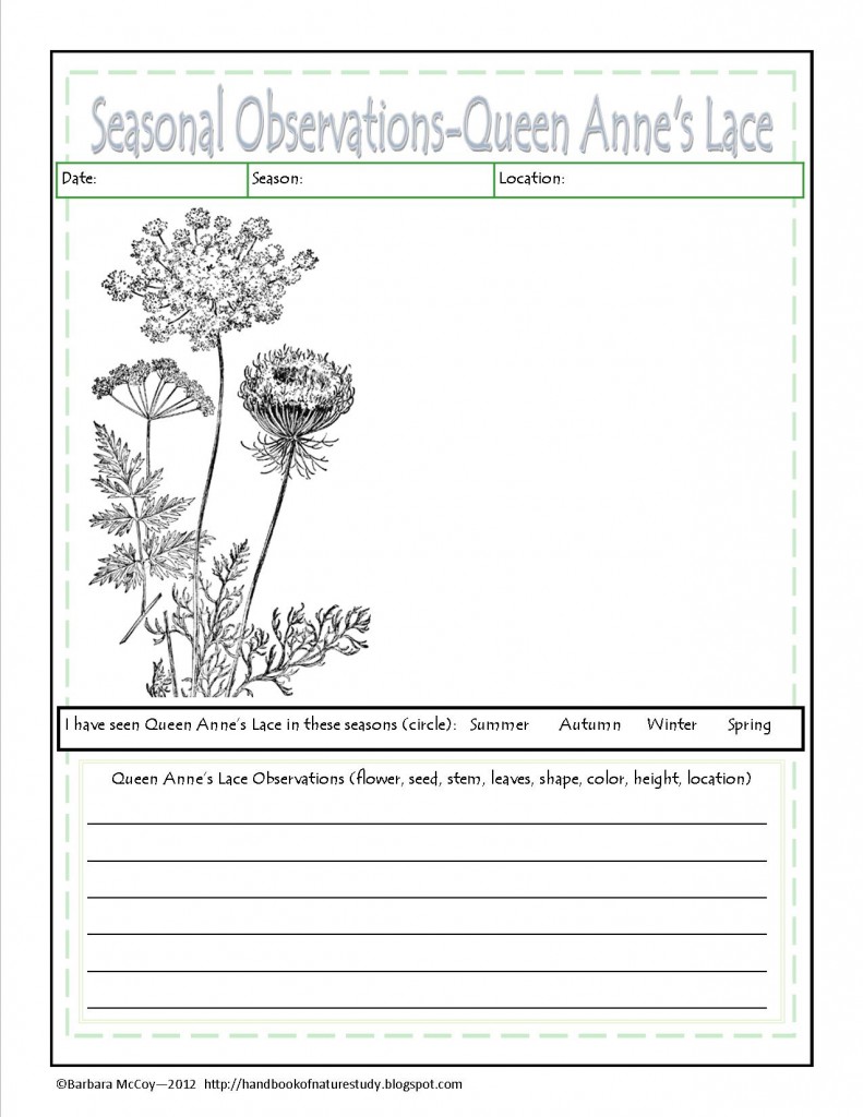Queen Anne's Lace Seasonal Notebook Page