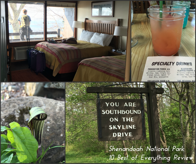 Shenandoah National Park 10 Best of Everything Review @handbookofnaturestudy