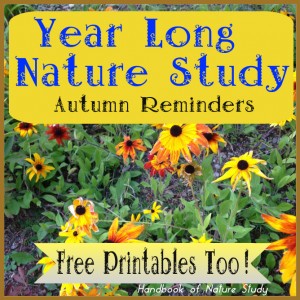 Yhttps://naturestudyhomeschool.com/2012/07/for-love-of-trees-year-long-tree-study.html/