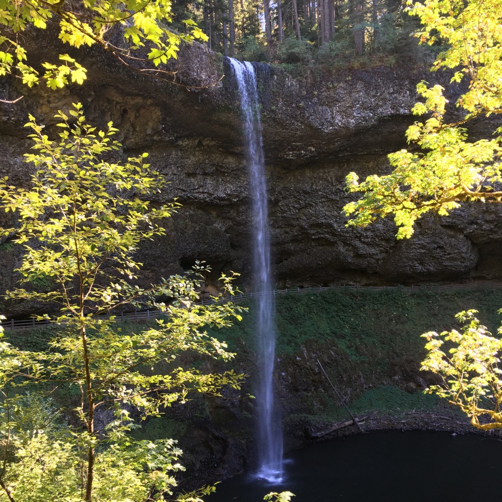 silver falls oregon august 2016 (67) south falls