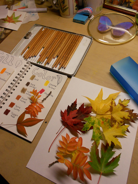 Fall Color Nature Journal