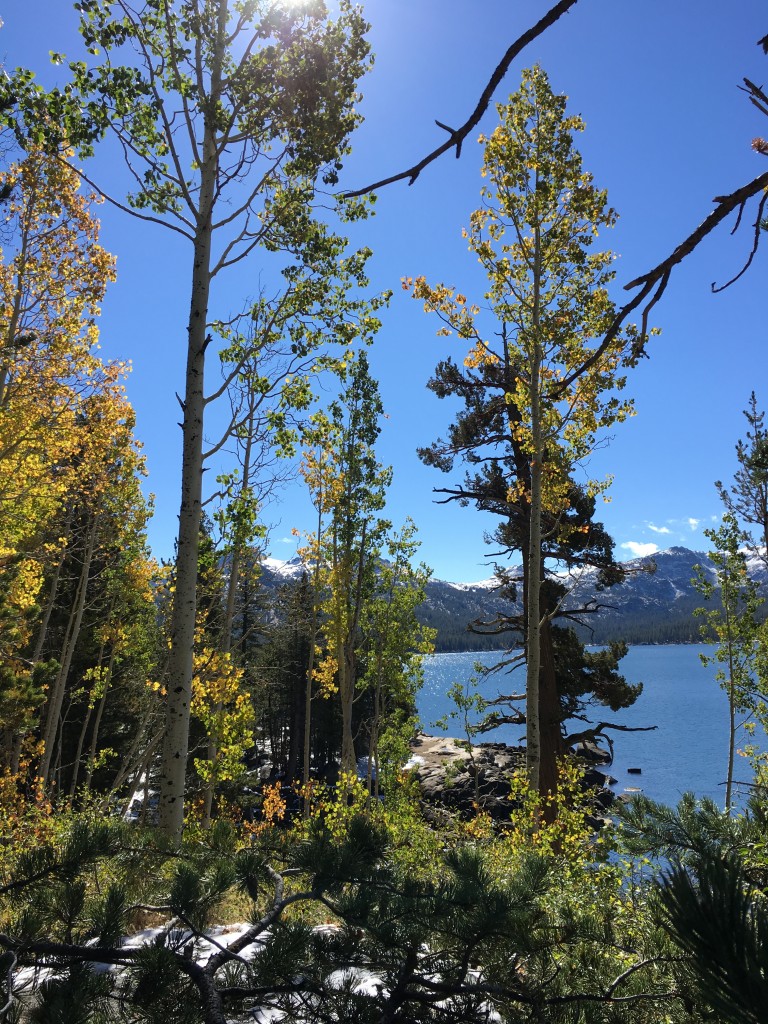Oct 2016 sly park and caples lake (4)