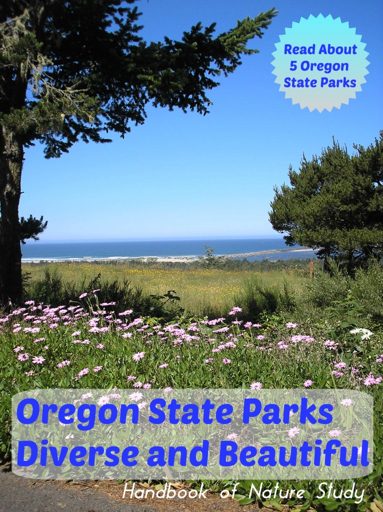 Oregon State Parks Diverse and Beautiful @handbookofnaturestudy